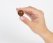 Secret Play - Brazilian Balls Oil Set - Mix photo-2