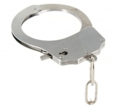ToyJoy - Furry Fun Cuffs - Pink photo