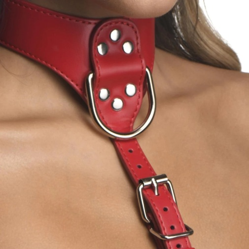 Strict - Female Chest Harness - Red - S/M photo