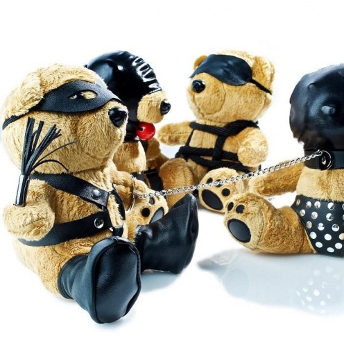 Bondage Bearz - Gary Gag Ball - Ray photo