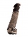 XLover - Realistic Penis Extender - Black photo