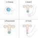 Lovetoy - Ocean's Toner Kegel Egg Set - Blue photo-9