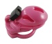 Locked in Lust - Vice Mini V2 Chasity Cage - Pink photo-3