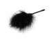Chisa - Pleasure Feather Tickler - Black photo-4