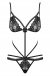 Obsessive - Wonderia Teddy - Black - S/M photo-7