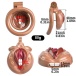FAAK - Pussy Resin Chastity Cage 212 45mm - Black photo-5