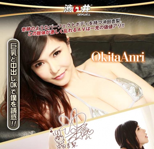 Drywell - Okita Anri Silicone Masturbator 5kg photo