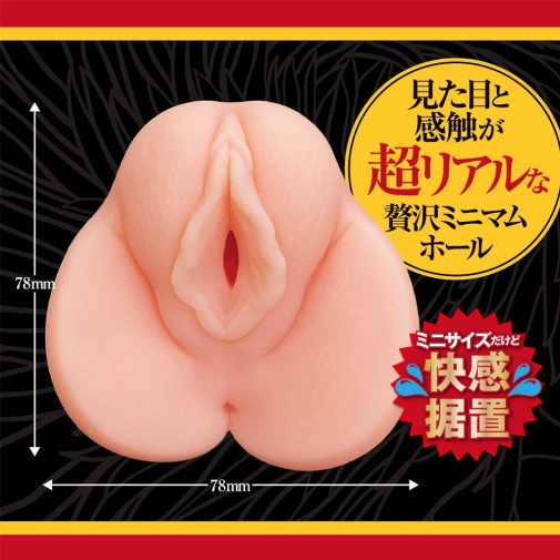 A-One - Chitsuniku Masturbator photo