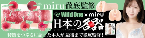SSI - 坂道美琉 日本名器飛機杯 照片