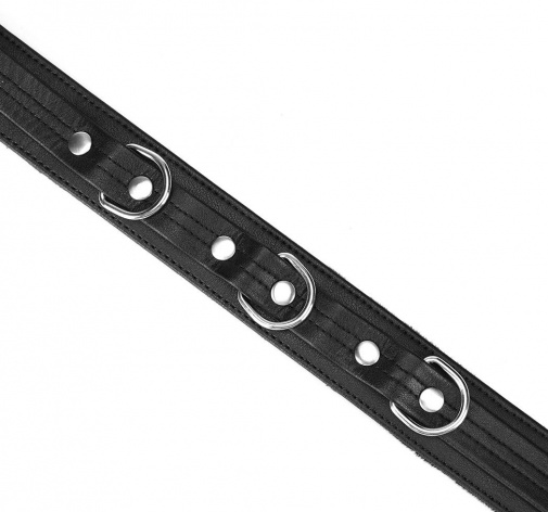 Liebe Seele - Black Bond Collar w Leash photo