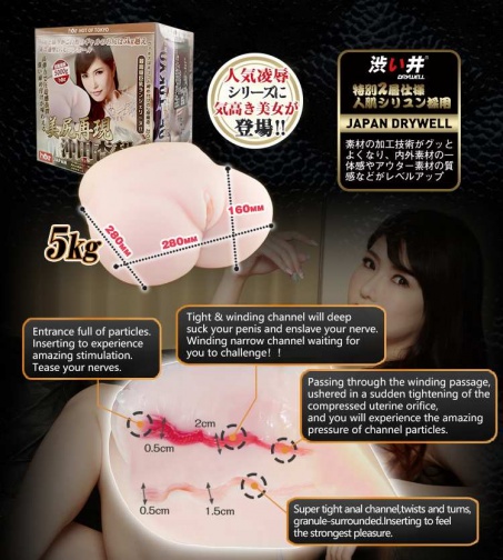 Drywell - Okita Anri Silicone Masturbator 5kg photo