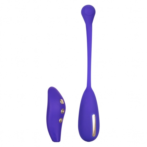 CEN - Impulse E-Stimulator Kegel Exerciser - Purple photo