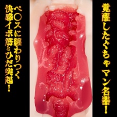 NPG - 相澤南 名器覺醒自慰器 照片