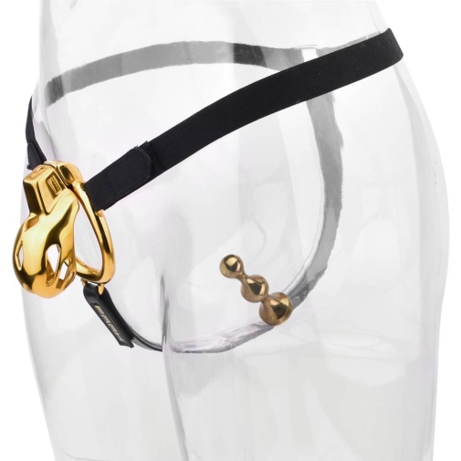 FAAK - Chastity Cage 184 w Belt & Plug - Gold photo
