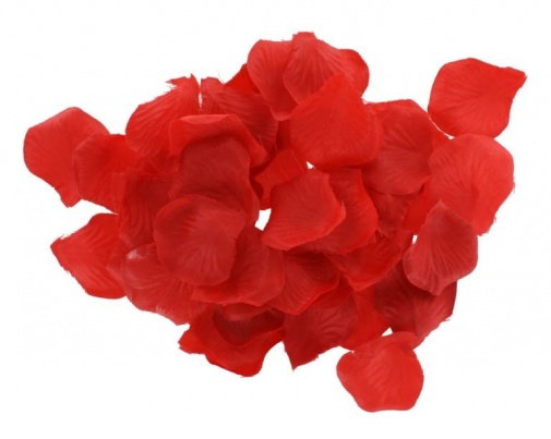 ToyJoy - Romance Gift BDSM Set - Red photo