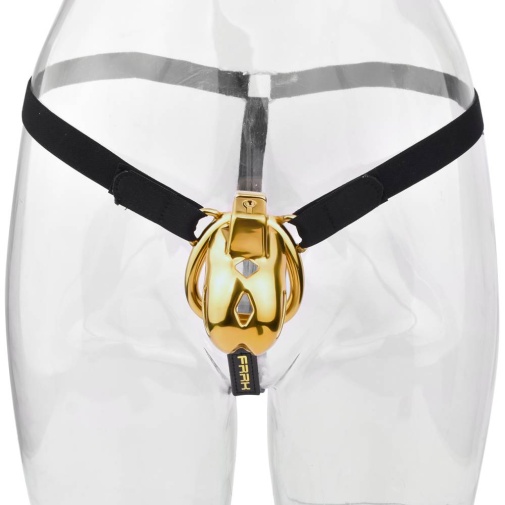 FAAK - Chastity Cage 184 w Belt & Plug - Gold photo
