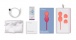 We-Vibe - Bloom - Coral photo-17
