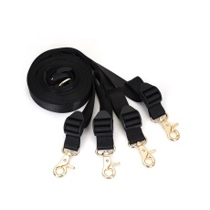 Liebe Seele - Under Bed Restraint System - Gold photo