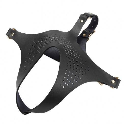 MT - Muzzle Slave Mask - Black photo