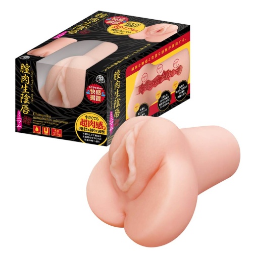 A-One - Chitsuniku Masturbator photo