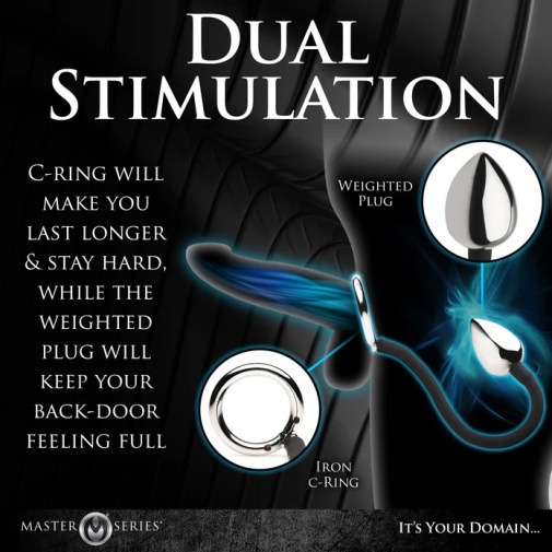 Master Series - Tug + Plug 陰莖陰囊環連後庭塞 照片