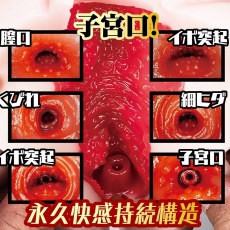 NPG - 新任女教師邀請你進行不道德的課後輔導 自慰器 照片