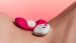 Sauce - Bow Bow Sensing Panty Vibrator - Pink photo-6