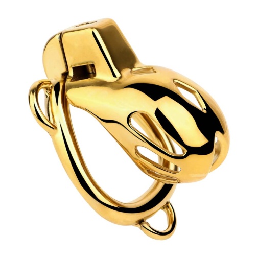 FAAK - Chastity Cage 184 w Belt & Plug - Gold photo