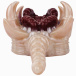 FAAK - Soul Embracer Masturbator - Flesh/Red photo-5