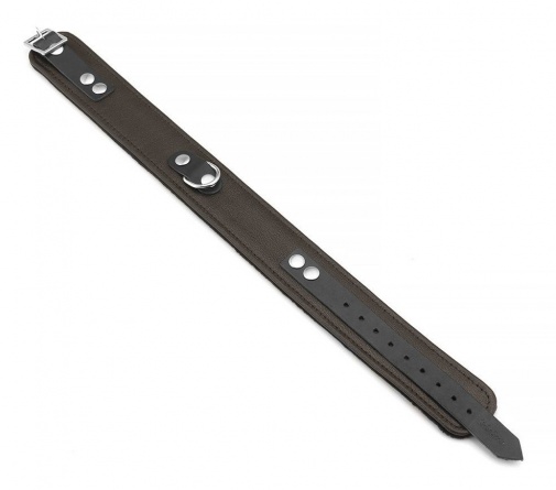 Liebe Seele - Leather Collar w Leash - Brown photo