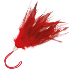 Darkness - 羽毛 17cm - 紅色 照片