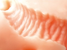 ToysHeart - G-19 Secret Uterus 自慰器 照片