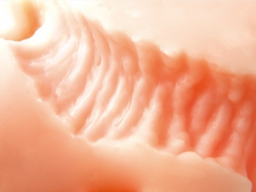 ToysHeart - G-19 Secret Uterus 自慰器 照片