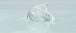 SSI - The pole of Squirt Cream - 12g photo-3
