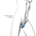 Love to Love - Wonderlover 陰蒂及G點雙重刺激震動器  - 虹彩綠松石色 照片-6