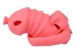FAAK - Long Resin Chastity Cage - Red photo-5