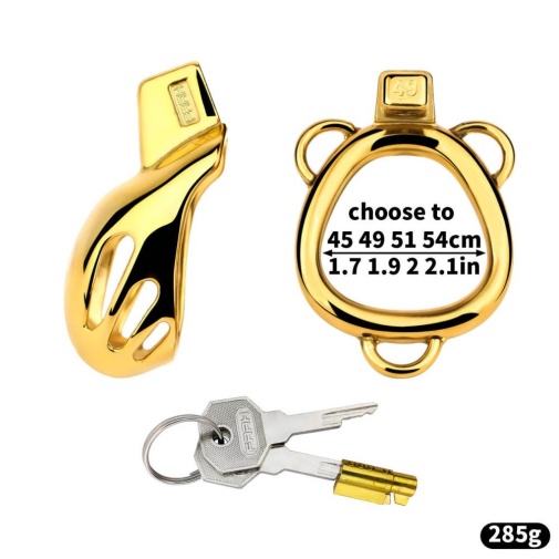 FAAK - Chastity Cage 184 w Belt & Plug - Gold photo