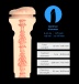 Kiiroo - Keon Duo Pack 可相容 Kayley Gunner 自慰器 照片-4