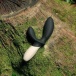 Lelo - Loki Wave 2 Prostate Massager - Black photo-3