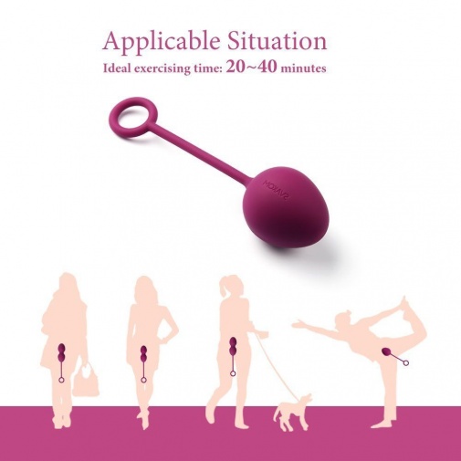 SVAKOM - Nova Kegel Balls - Violet photo