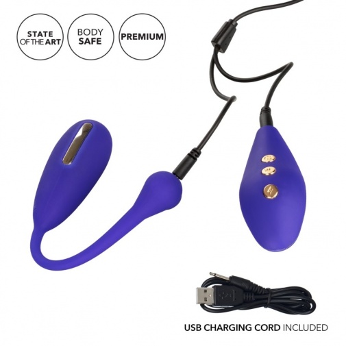 CEN - Impulse E-Stimulator Kegel Exerciser - Purple photo