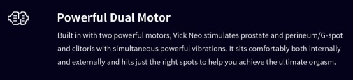 SVAKOM - Vick Neo 前列腺震動器 - 黑色 照片