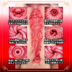 NPG - 新熟女之星 愛弓涼 自慰器 照片