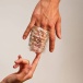 The Handy - Coral Sleeve photo-2