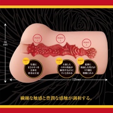A-One - Chitsuniku Masturbator photo