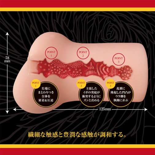 A-One - Chitsuniku Masturbator photo