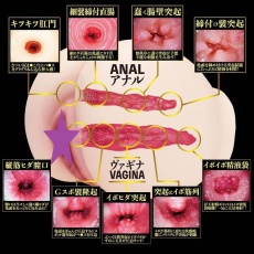 NPG - Eimi Fukada 2 孔自慰器 3.1kg 照片