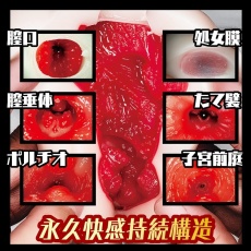 NPG - 課後協助女同學破處 自慰器 照片