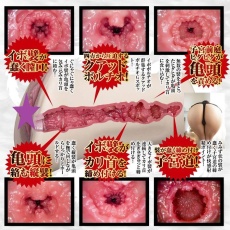 NPG - Tsubasa Hachino 極上名器自慰器 照片