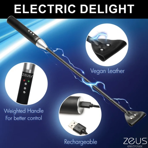 Zeus Electrosex - 电刺激马鞭 - 黑色 照片